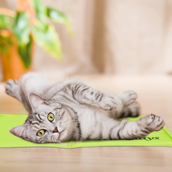 Relaxdays Dog Cooling Mat, 60 x 100 cm, Self-Cooling Dog Mat, Gel Wipe Clean Cooling Mat for Pets, Green Relaxdays Dog Cooling Mat, 60 x 100 cm, Self-Cooling Dog Mat, Gel Wipe Clean Cooling Mat for Pets, Green