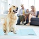 Relaxdays Dog Cooling Mat, 60 x 100 cm, Self-Cooling Dog Mat, Gel Wipe Clean, Cooling Mat for Pets, Light Blue Relaxdays Dog Cooling Mat, 60 x 100 cm, Self-Cooling Dog Mat, Gel Wipe Clean, Cooling Mat for Pets, Light Blue