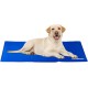 Relaxdays Dog Cooling Mat Self Cooling Wipe Clean Heavy Duty with Gel Pet Cooling Blanket Cold Blanket, blue, 60 x 100 cm Relaxdays Dog Cooling Mat Self Cooling Wipe Clean Heavy Duty with Gel Pet Cooling Blanket Cold Blanket, blue, 60 x 100 cm