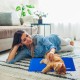 Relaxdays Dog Cooling Mat Self Cooling Wipe Clean Heavy Duty with Gel Pet Cooling Blanket Cold Blanket, blue, 20 x 35 cm Relaxdays Dog Cooling Mat Self Cooling Wipe Clean Heavy Duty with Gel Pet Cooling Blanket Cold Blanket, blue, 20 x 35 cm