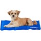 Relaxdays Dog Cooling Mat Self Cooling Wipe Clean Heavy Duty with Gel Pet Cooling Blanket Cold Blanket, blue, 20 x 35 cm Relaxdays Dog Cooling Mat Self Cooling Wipe Clean Heavy Duty with Gel Pet Cooling Blanket Cold Blanket, blue, 20 x 35 cm
