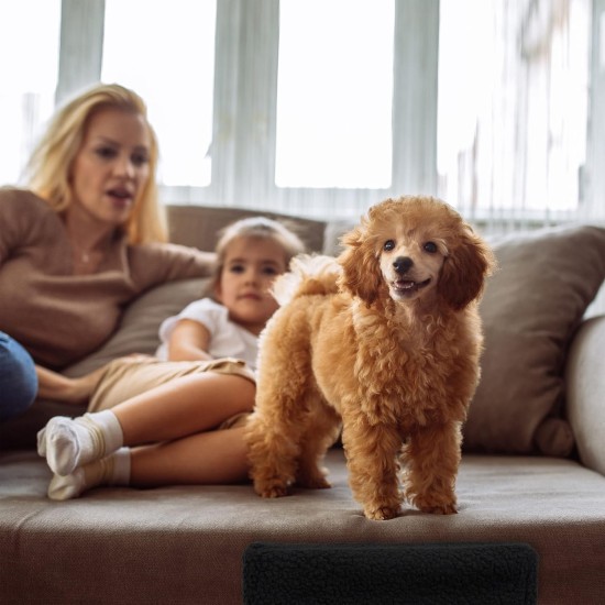 Relaxdays Dog Stairs, 3 Steps, Small & Large Dogs, Bed & Couch, Fabric Cover, Animal Stairs Inside, 30 x 35 x 45 cm, Choice of Colours Relaxdays Dog Stairs, 3 Steps, Small & Large Dogs, Bed & Couch, Fabric Cover, Animal Stairs Inside, 30 x 35 x 45 cm, Choice of Colours