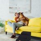 Relaxdays Dog Stairs 3 Steps for Dogs & Cats, HBT: 33 x 41 x 54 cm, Soft Pet Stairs, Bed and Couch, Black Relaxdays Dog Stairs 3 Steps for Dogs & Cats, HBT: 33 x 41 x 54 cm, Soft Pet Stairs, Bed and Couch, Black