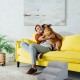 Relaxdays Dog Stairs 3 Steps for Dogs & Cats, HBT: 33 x 41 x 54 cm, Soft Pet Stairs, Bed and Couch, Black