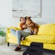 Relaxdays Dog Stairs 3 Steps for Dogs & Cats, HBT: 33 x 41 x 54 cm, Soft Pet Stairs, Bed and Couch, Black