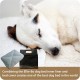 Replacement Striped Dog Bed Cover, 42-Inch, X-Large, Black/Brown Replacement Striped Dog Bed Cover, 42-Inch, X-Large, Black/Brown