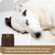Replacement Waterproof Dog Bed, 117 x 75 cm, 2 x Large, Brown Replacement Waterproof Dog Bed, 117 x 75 cm, 2 x Large, Brown