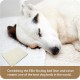 Replacement Waterproof Dog Bed Cover, 71 x 48 cm, Medium, Green Replacement Waterproof Dog Bed Cover, 71 x 48 cm, Medium, Green