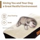 Replacement Waterproof Dog Bed Cover, 71 x 48 cm, Medium, Green Replacement Waterproof Dog Bed Cover, 71 x 48 cm, Medium, Green