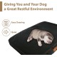 Replacement Waterproof Dog Bed Cover, 71 x 48 cm, Medium, Green Replacement Waterproof Dog Bed Cover, 71 x 48 cm, Medium, Green
