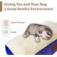Replacement Waterproof Dog Bed Cover, 71 x 48 cm, Medium, Green Replacement Waterproof Dog Bed Cover, 71 x 48 cm, Medium, Green