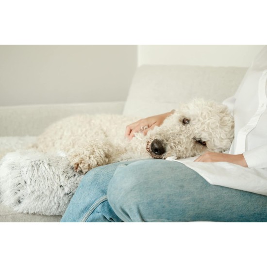 TRIXIE Harvey 38045 Waterproof and Particularly Cuddly Dog Blanket for the Couch Upholstered Protective Blanket Square 70 x 90 cm White/Black with Removable, Machine-Washable Cover TRIXIE Harvey 38045 Waterproof and Particularly Cuddly Dog Blanket for the Couch Upholstered Protective Blanket Square 70 x 90 cm White/Black with Removable, Machine-Washable Cover