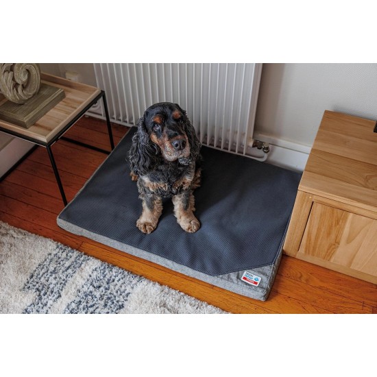 TechreFresh Mattress 80 x 60 x 3 cm TechreFresh Mattress 80 x 60 x 3 cm