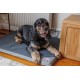 TechreFresh Mattress 80 x 60 x 3 cm TechreFresh Mattress 80 x 60 x 3 cm