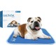 TheGreenPetShop Dog Cooling Mat, Gel Self-Cooling Mat for Dogs, The Must-Have Cool Pet Pad for Hot Summer Weather, Patented Pressure-Activated Pet Cooling Pad, No Water or Electricity Required TheGreenPetShop Dog Cooling Mat, Gel Self-Cooling Mat for Dogs, The Must-Have Cool Pet Pad for Hot Summer Weather, Patented Pressure-Activated Pet Cooling Pad, No Water or Electricity Required