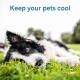 TheGreenPetShop Dog Cooling Mat, Gel Self-Cooling Mat for Dogs, The Must-Have Cool Pet Pad for Hot Summer Weather, Patented Pressure-Activated Pet Cooling Pad, No Water or Electricity Required TheGreenPetShop Dog Cooling Mat, Gel Self-Cooling Mat for Dogs, The Must-Have Cool Pet Pad for Hot Summer Weather, Patented Pressure-Activated Pet Cooling Pad, No Water or Electricity Required