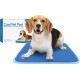 TheGreenPetShop Dog Cooling Mat, Gel Self-Cooling Mat for Dogs, The Must-Have Cool Pet Pad for Hot Summer Weather, Patented Pressure-Activated Pet Cooling Pad, No Water or Electricity Required TheGreenPetShop Dog Cooling Mat, Gel Self-Cooling Mat for Dogs, The Must-Have Cool Pet Pad for Hot Summer Weather, Patented Pressure-Activated Pet Cooling Pad, No Water or Electricity Required