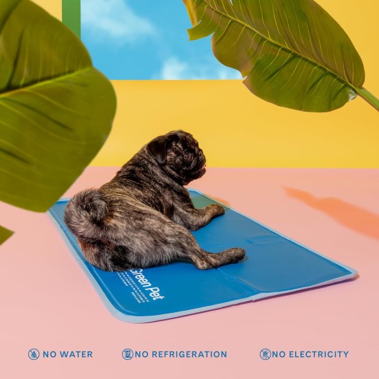 TheGreenPetShop Dog Cooling Mat, Gel Self-Cooling Mat for Dogs, The Must-Have Cool Pet Pad for Hot Summer Weather, Patented Pressure-Activated Pet Cooling Pad, No Water or Electricity Required TheGreenPetShop Dog Cooling Mat, Gel Self-Cooling Mat for Dogs, The Must-Have Cool Pet Pad for Hot Summer Weather, Patented Pressure-Activated Pet Cooling Pad, No Water or Electricity Required