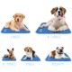 TheGreenPetShop Dog Cooling Mat, Gel Self-Cooling Mat for Dogs, The Must-Have Cool Pet Pad for Hot Summer Weather, Patented Pressure-Activated Pet Cooling Pad, No Water or Electricity Required TheGreenPetShop Dog Cooling Mat, Gel Self-Cooling Mat for Dogs, The Must-Have Cool Pet Pad for Hot Summer Weather, Patented Pressure-Activated Pet Cooling Pad, No Water or Electricity Required