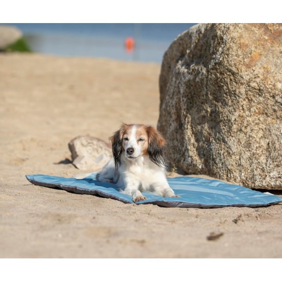 Trixie 28684 cooling mat, 65 × 50 cm, blue Trixie 28684 cooling mat, 65 × 50 cm, blue