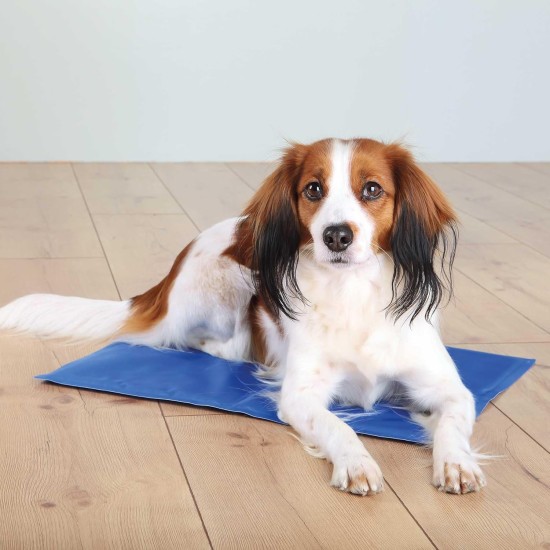 Trixie Cool Mat, 40 x 30 cm, blue Trixie Cool Mat, 40 x 30 cm, blue