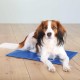 Trixie Cool Mat, 40 x 30 cm, blue Trixie Cool Mat, 40 x 30 cm, blue
