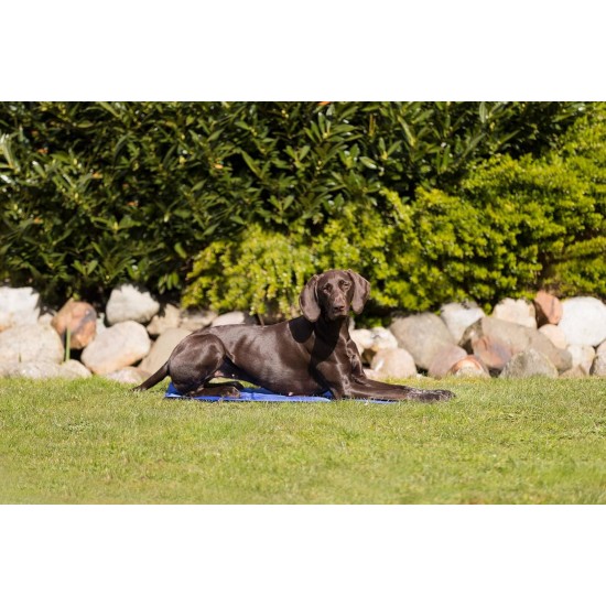 Trixie Cool Mat, blue Trixie Cool Mat, blue