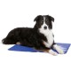 Trixie Cool Mat, blue