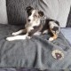 Tweed Comforter Blanket for Dogs, Grey Tweed Comforter Blanket for Dogs, Grey