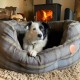 Tweed Comforter Blanket for Dogs, Grey Tweed Comforter Blanket for Dogs, Grey