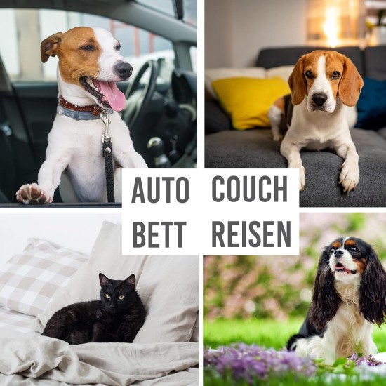Waterproof Dog Blanket, 100 x 150 cm, Washable, Pet Blanket for Travel, Car, Sofa or Couch, Outdoor Blanket, Dog Sleeping Blanket, Portable Waterproof Dog Blanket, 100 x 150 cm, Washable, Pet Blanket for Travel, Car, Sofa or Couch, Outdoor Blanket, Dog Sleeping Blanket, Portable