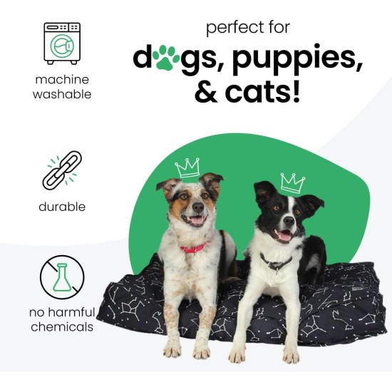 dd59r Round Medium Large Washable Dog Bed Cover with Removable Cover Papillon Print 36"x5" Round dd59r Round Medium Large Washable Dog Bed Cover with Removable Cover Papillon Print 36"x5" Round