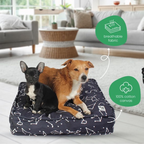 dd59r Round Medium Large Washable Dog Bed Cover with Removable Cover Papillon Print 36"x5" Round dd59r Round Medium Large Washable Dog Bed Cover with Removable Cover Papillon Print 36"x5" Round