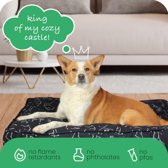 dd59r Round Medium Large Washable Dog Bed Cover with Removable Cover Papillon Print 36"x5" Round dd59r Round Medium Large Washable Dog Bed Cover with Removable Cover Papillon Print 36"x5" Round