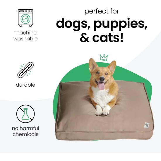 dd59r Round Medium Large Washable Dog Bed Cover with Removable Cover Papillon Print 36"x5" Round dd59r Round Medium Large Washable Dog Bed Cover with Removable Cover Papillon Print 36"x5" Round