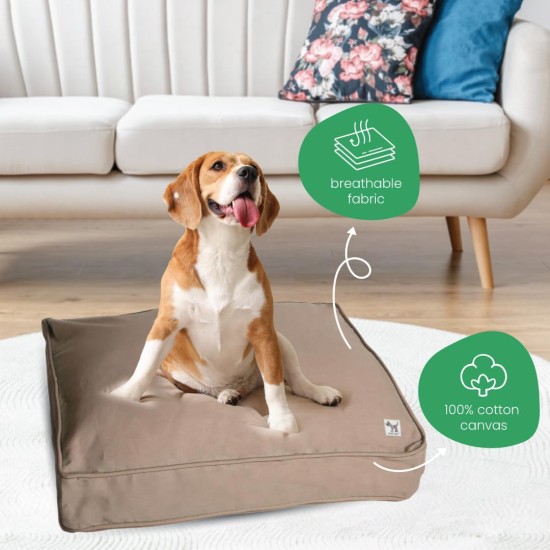 dd59r Round Medium Large Washable Dog Bed Cover with Removable Cover Papillon Print 36"x5" Round dd59r Round Medium Large Washable Dog Bed Cover with Removable Cover Papillon Print 36"x5" Round