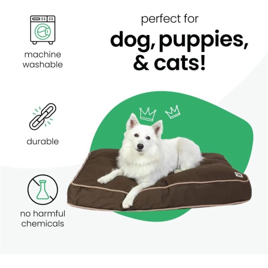 dd59r Round Medium Large Washable Dog Bed Cover with Removable Cover Papillon Print 36"x5" Round dd59r Round Medium Large Washable Dog Bed Cover with Removable Cover Papillon Print 36"x5" Round