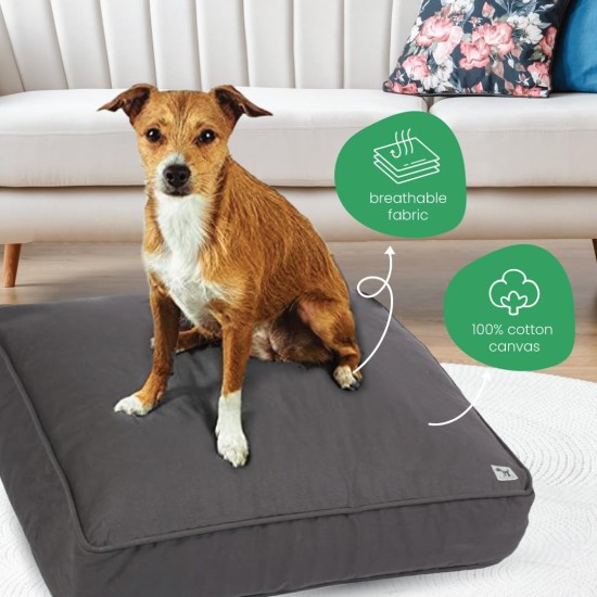 dd59r Round Medium Large Washable Dog Bed Cover with Removable Cover Papillon Print 36"x5" Round dd59r Round Medium Large Washable Dog Bed Cover with Removable Cover Papillon Print 36"x5" Round