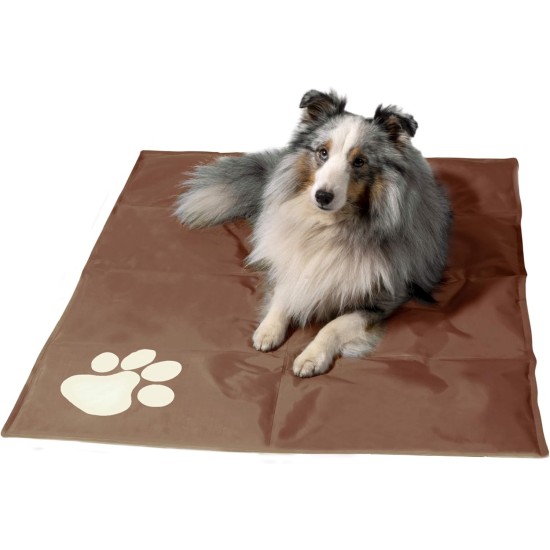 dobar® 60422 Cooling Mat for Dogs - Dog Cooling Mat for Dogs & Cats - Self-Cooling Mat for Pets - Dog Blanket with Cold Gel Filling - Cooling Blanket - 99.5 x 70 cm - Grey dobar® 60422 Cooling Mat for Dogs - Dog Cooling Mat for Dogs & Cats - Self-Cooling Mat for Pets - Dog Blanket with Cold Gel Filling - Cooling Blanket - 99.5 x 70 cm - Grey