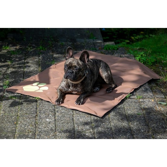dobar® 60422 Cooling Mat for Dogs - Dog Cooling Mat for Dogs & Cats - Self-Cooling Mat for Pets - Dog Blanket with Cold Gel Filling - Cooling Blanket - 99.5 x 70 cm - Grey dobar® 60422 Cooling Mat for Dogs - Dog Cooling Mat for Dogs & Cats - Self-Cooling Mat for Pets - Dog Blanket with Cold Gel Filling - Cooling Blanket - 99.5 x 70 cm - Grey