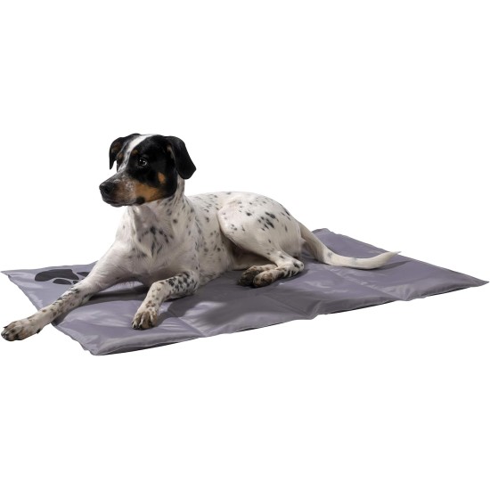 dobar® 60422 Cooling Mat for Dogs - Dog Cooling Mat for Dogs & Cats - Self-Cooling Mat for Pets - Dog Blanket with Cold Gel Filling - Cooling Blanket - 99.5 x 70 cm - Grey dobar® 60422 Cooling Mat for Dogs - Dog Cooling Mat for Dogs & Cats - Self-Cooling Mat for Pets - Dog Blanket with Cold Gel Filling - Cooling Blanket - 99.5 x 70 cm - Grey