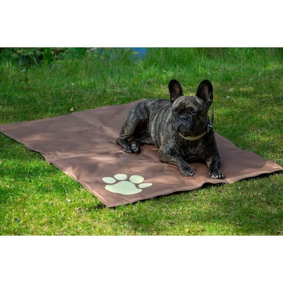 dobar® 60422 Cooling Mat for Dogs - Dog Cooling Mat for Dogs & Cats - Self-Cooling Mat for Pets - Dog Blanket with Cold Gel Filling - Cooling Blanket - 99.5 x 70 cm - Grey dobar® 60422 Cooling Mat for Dogs - Dog Cooling Mat for Dogs & Cats - Self-Cooling Mat for Pets - Dog Blanket with Cold Gel Filling - Cooling Blanket - 99.5 x 70 cm - Grey