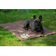 dobar® 60422 Cooling Mat for Dogs - Dog Cooling Mat for Dogs & Cats - Self-Cooling Mat for Pets - Dog Blanket with Cold Gel Filling - Cooling Blanket - 99.5 x 70 cm - Grey dobar® 60422 Cooling Mat for Dogs - Dog Cooling Mat for Dogs & Cats - Self-Cooling Mat for Pets - Dog Blanket with Cold Gel Filling - Cooling Blanket - 99.5 x 70 cm - Grey