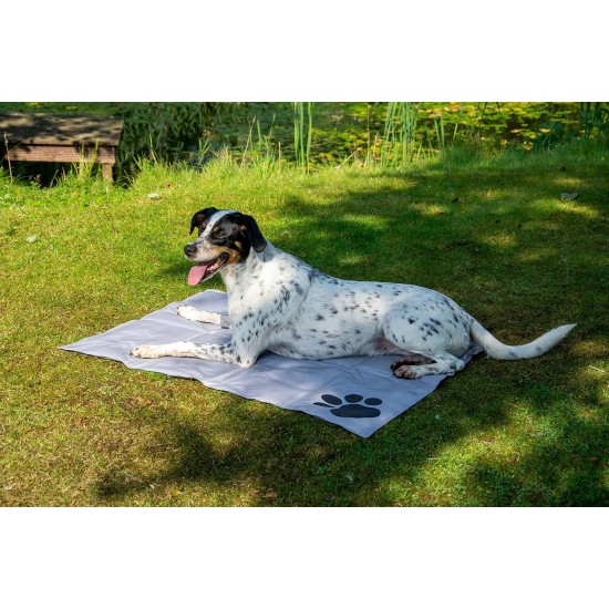 dobar® 60422 Cooling Mat for Dogs - Dog Cooling Mat for Dogs & Cats - Self-Cooling Mat for Pets - Dog Blanket with Cold Gel Filling - Cooling Blanket - 99.5 x 70 cm - Grey dobar® 60422 Cooling Mat for Dogs - Dog Cooling Mat for Dogs & Cats - Self-Cooling Mat for Pets - Dog Blanket with Cold Gel Filling - Cooling Blanket - 99.5 x 70 cm - Grey