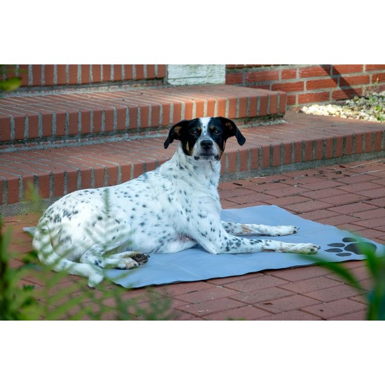 dobar® 60422 Cooling Mat for Dogs - Dog Cooling Mat for Dogs & Cats - Self-Cooling Mat for Pets - Dog Blanket with Cold Gel Filling - Cooling Blanket - 99.5 x 70 cm - Grey dobar® 60422 Cooling Mat for Dogs - Dog Cooling Mat for Dogs & Cats - Self-Cooling Mat for Pets - Dog Blanket with Cold Gel Filling - Cooling Blanket - 99.5 x 70 cm - Grey
