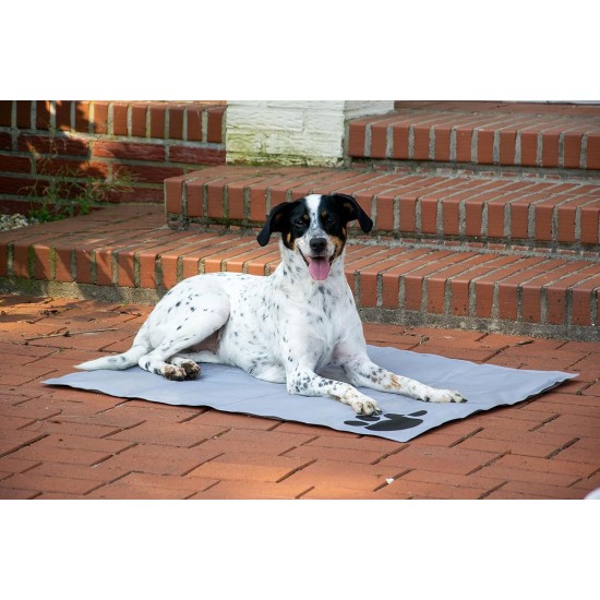 dobar® 60422 Cooling Mat for Dogs - Dog Cooling Mat for Dogs & Cats - Self-Cooling Mat for Pets - Dog Blanket with Cold Gel Filling - Cooling Blanket - 99.5 x 70 cm - Grey dobar® 60422 Cooling Mat for Dogs - Dog Cooling Mat for Dogs & Cats - Self-Cooling Mat for Pets - Dog Blanket with Cold Gel Filling - Cooling Blanket - 99.5 x 70 cm - Grey