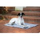 dobar® 60422 Cooling Mat for Dogs - Dog Cooling Mat for Dogs & Cats - Self-Cooling Mat for Pets - Dog Blanket with Cold Gel Filling - Cooling Blanket - 99.5 x 70 cm - Grey dobar® 60422 Cooling Mat for Dogs - Dog Cooling Mat for Dogs & Cats - Self-Cooling Mat for Pets - Dog Blanket with Cold Gel Filling - Cooling Blanket - 99.5 x 70 cm - Grey