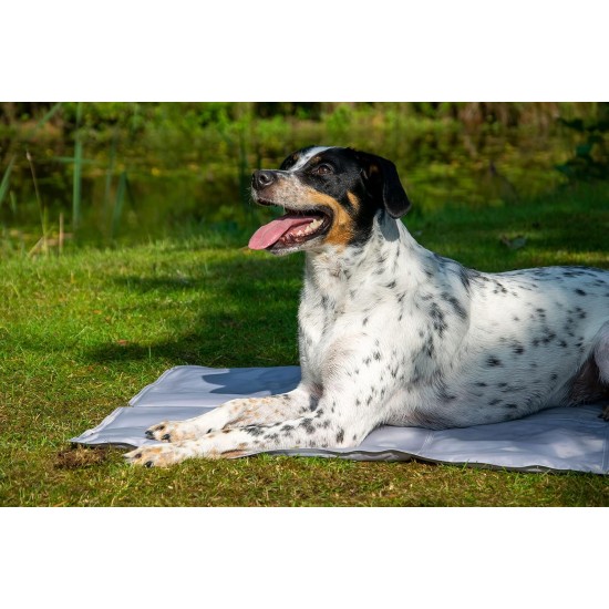 dobar® 60422 Cooling Mat for Dogs - Dog Cooling Mat for Dogs & Cats - Self-Cooling Mat for Pets - Dog Blanket with Cold Gel Filling - Cooling Blanket - 99.5 x 70 cm - Grey dobar® 60422 Cooling Mat for Dogs - Dog Cooling Mat for Dogs & Cats - Self-Cooling Mat for Pets - Dog Blanket with Cold Gel Filling - Cooling Blanket - 99.5 x 70 cm - Grey