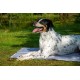 dobar® 60422 Cooling Mat for Dogs - Dog Cooling Mat for Dogs & Cats - Self-Cooling Mat for Pets - Dog Blanket with Cold Gel Filling - Cooling Blanket - 99.5 x 70 cm - Grey dobar® 60422 Cooling Mat for Dogs - Dog Cooling Mat for Dogs & Cats - Self-Cooling Mat for Pets - Dog Blanket with Cold Gel Filling - Cooling Blanket - 99.5 x 70 cm - Grey