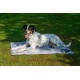 dobar® 60422 Cooling Mat for Dogs - Dog Cooling Mat for Dogs & Cats - Self-Cooling Mat for Pets - Dog Blanket with Cold Gel Filling - Cooling Blanket - 99.5 x 70 cm - Grey dobar® 60422 Cooling Mat for Dogs - Dog Cooling Mat for Dogs & Cats - Self-Cooling Mat for Pets - Dog Blanket with Cold Gel Filling - Cooling Blanket - 99.5 x 70 cm - Grey